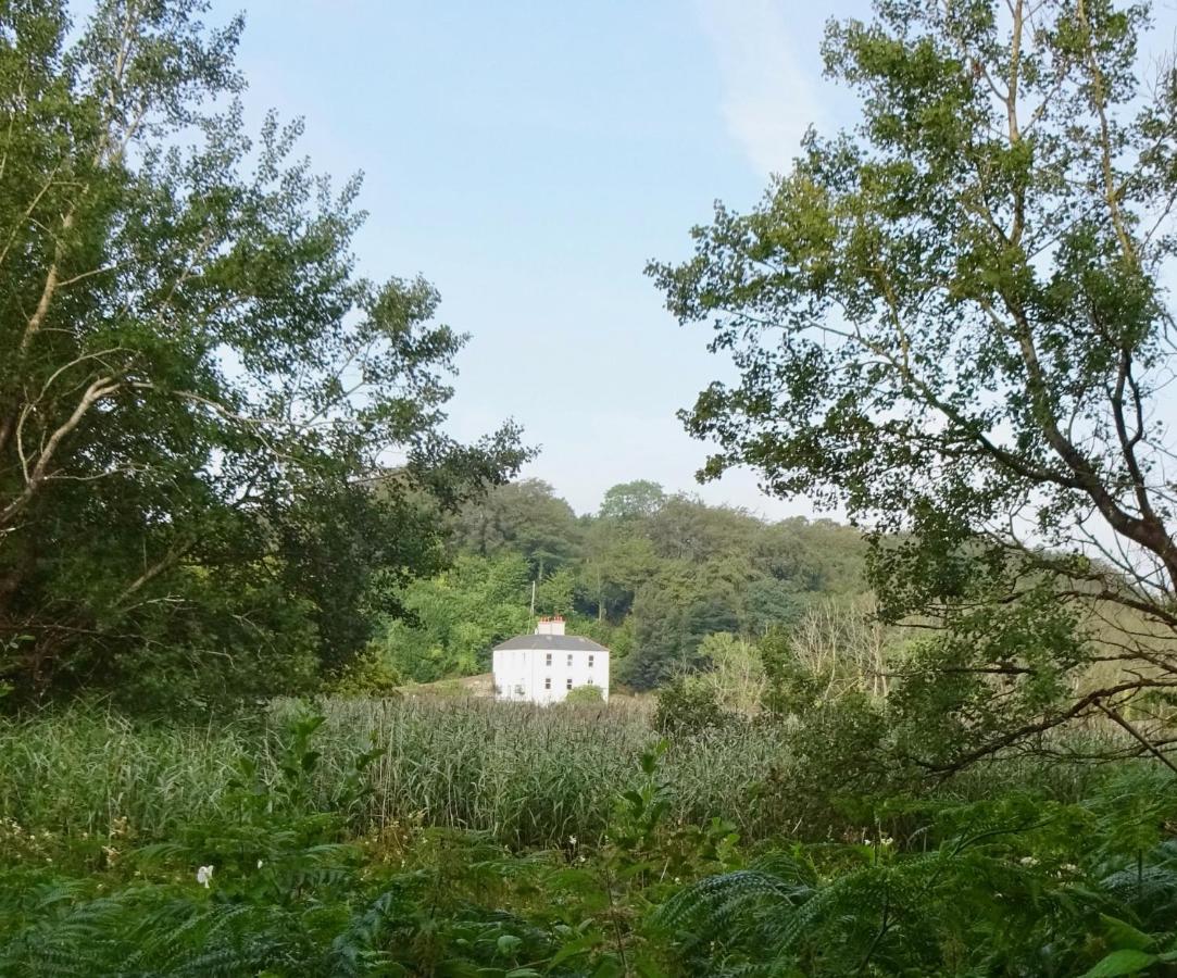 Riverbank House Bed And Breakfast Innishannon Екстериор снимка