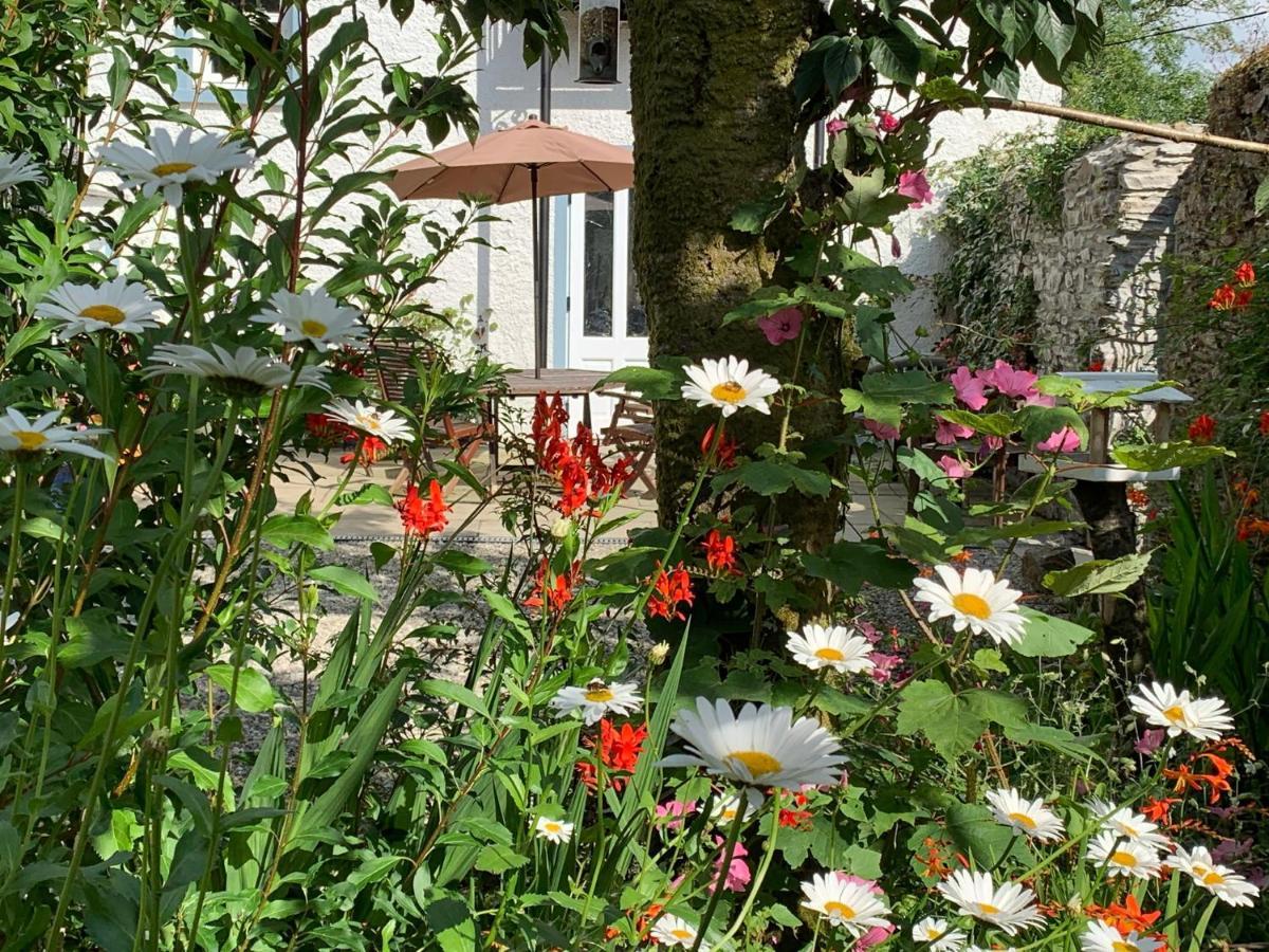 Riverbank House Bed And Breakfast Innishannon Екстериор снимка